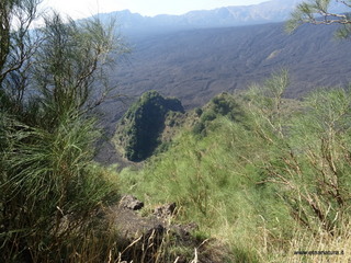 nte Rinatu-15-09-2019 11-09-05